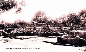 Tipasa - Ruines romaines 16